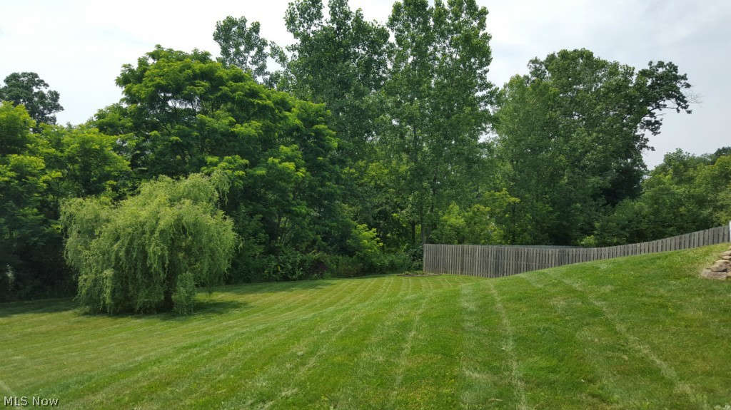 2332 Ravenna Road Kent, OH 44240 - Photo 24 of 25 2332 Ravenna Rd, Kent, OH 44240 The spacious backyard has nice privacy.