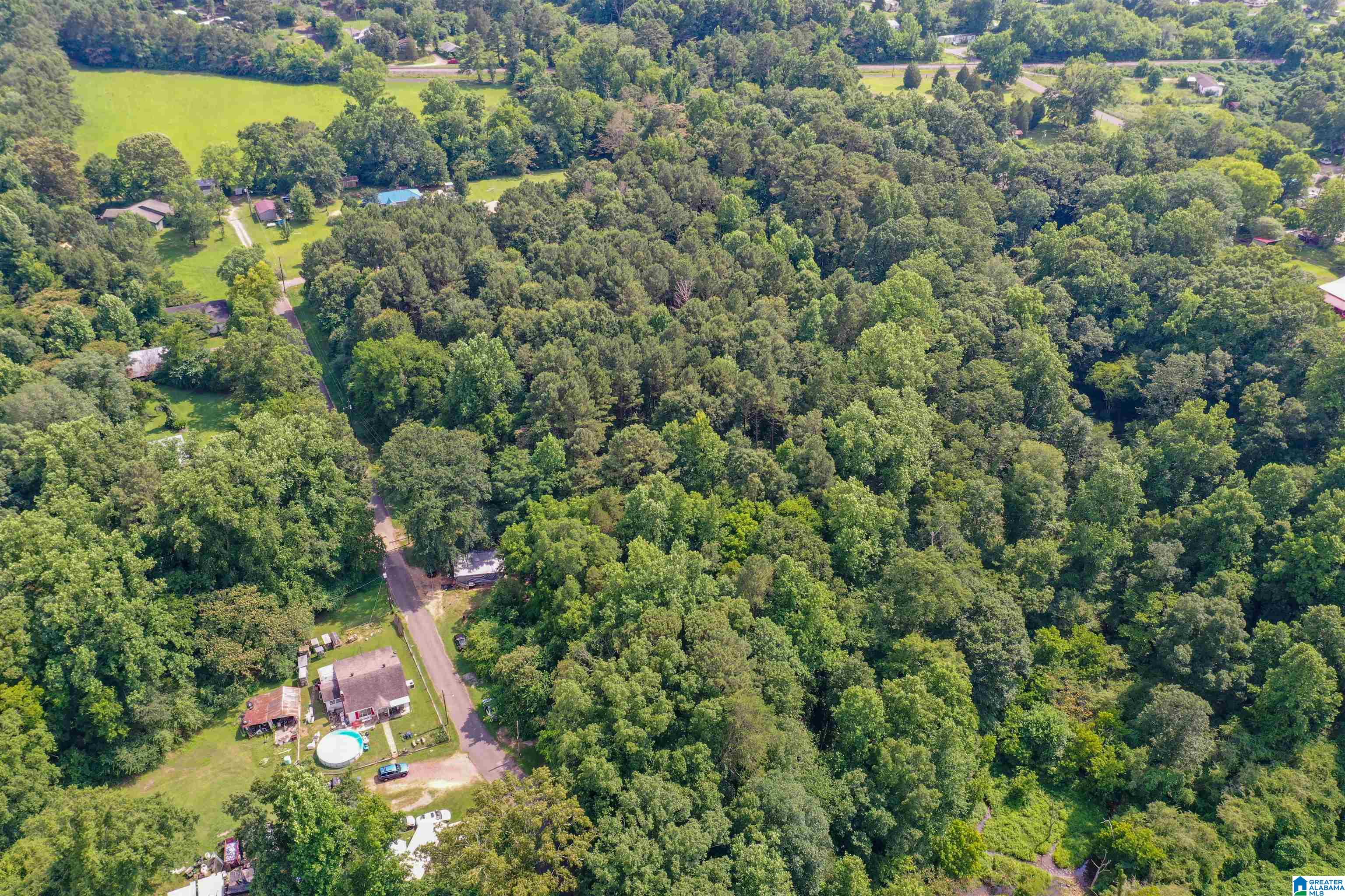110 5th Avenue Mulga, AL 35118 - Photo 4 of 18