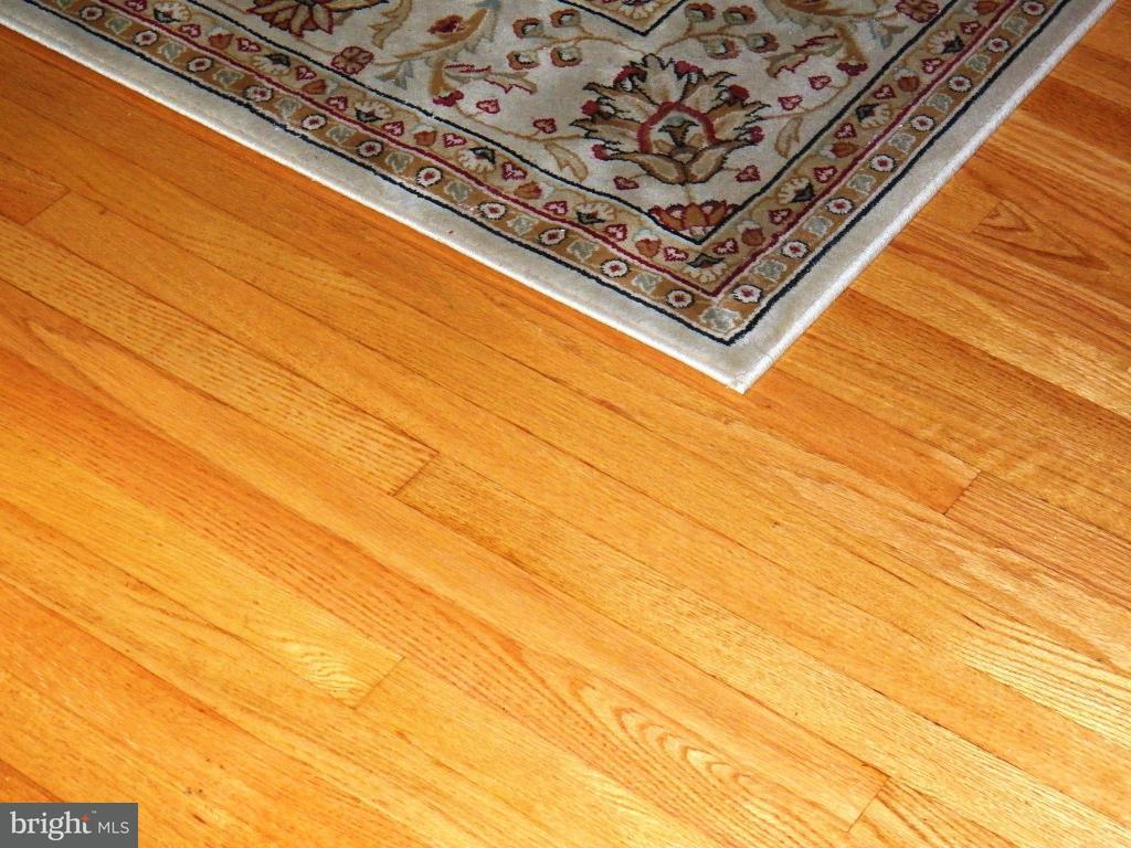 98 Deep Run Road Myerstown, PA 17067 - Photo 6 of 16 Gallery Image 6