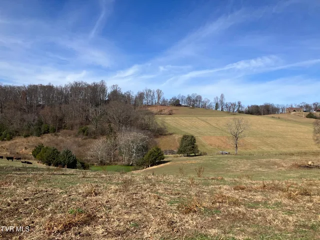$229,900 | Tbd Methodist Ridge Road, Telford, TN 37690