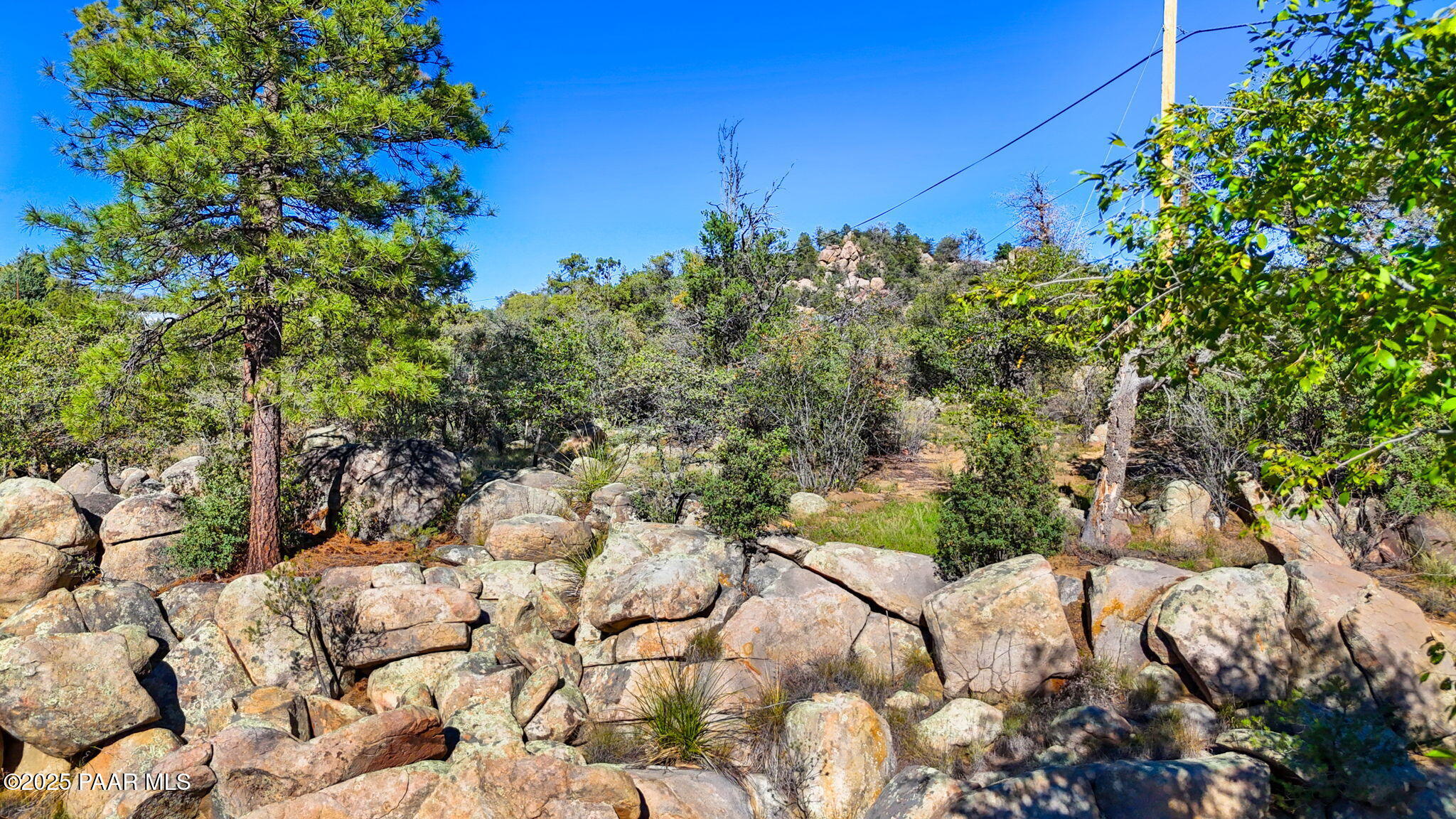 1828 Thumb Butte Road Prescott, AZ 86305 - Photo 12 of 16 a view of a tree with a yard