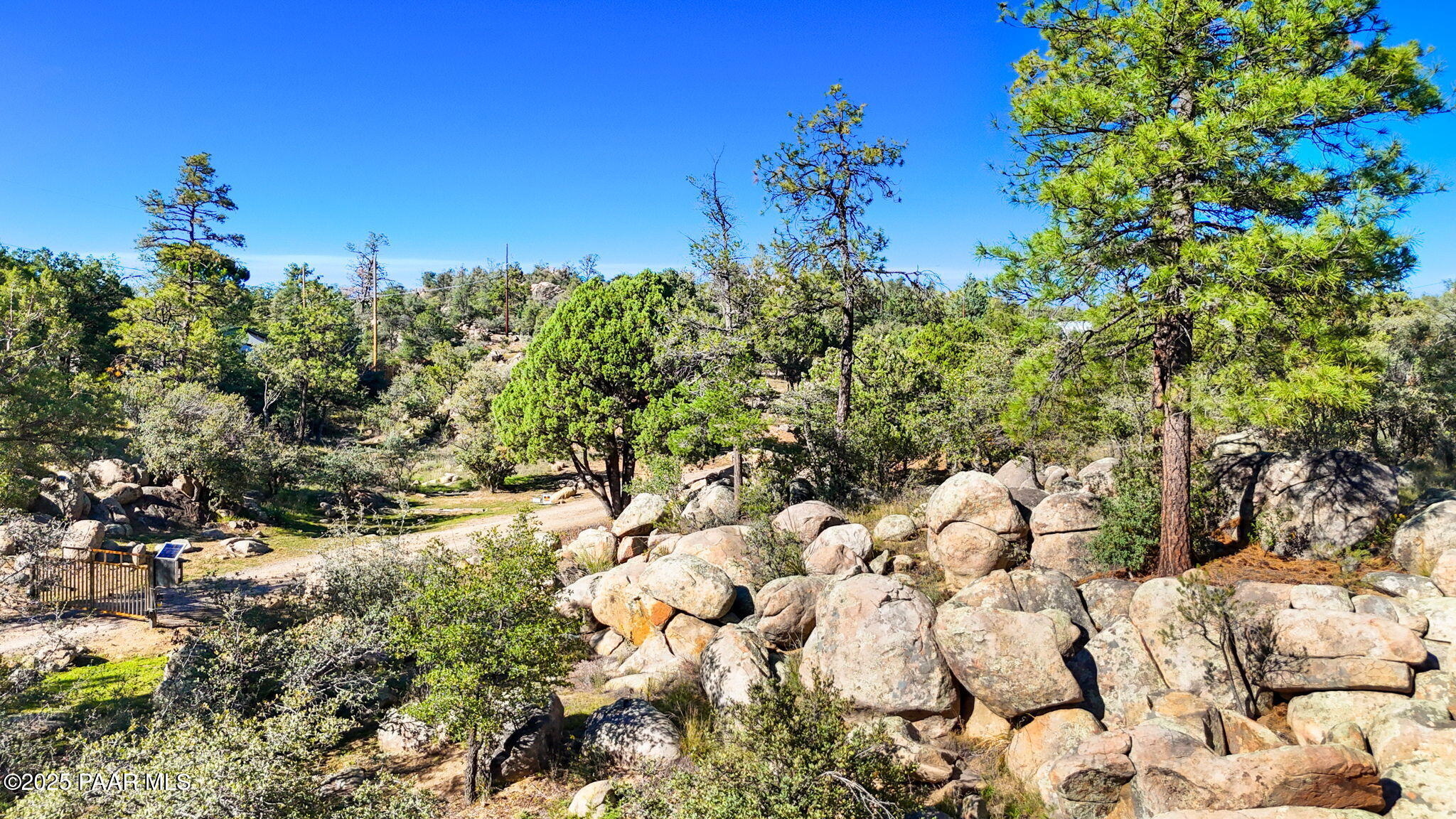 1828 Thumb Butte Road Prescott, AZ 86305 - Photo 13 of 16 a view of a bunch of trees