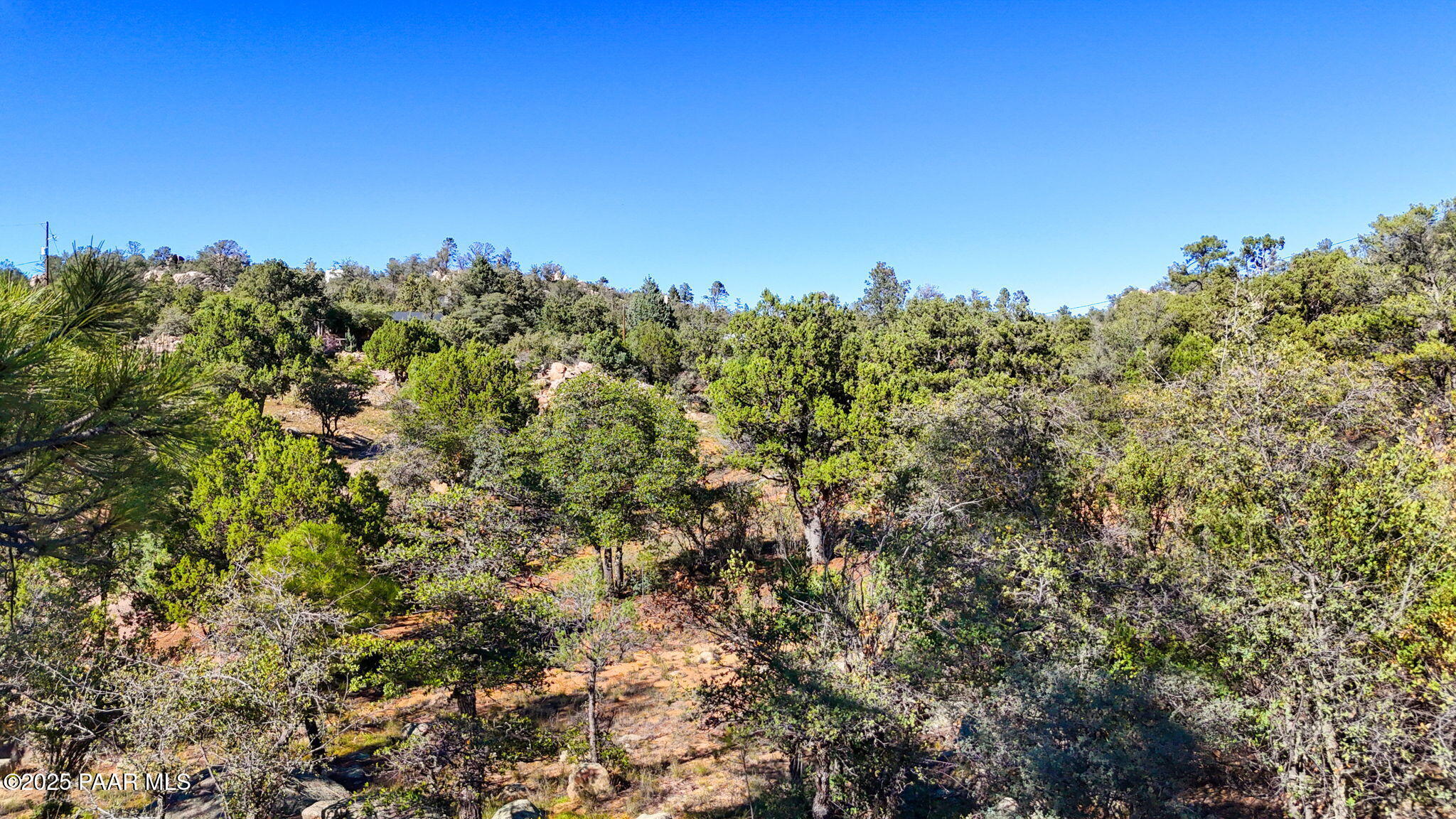 1828 Thumb Butte Road Prescott, AZ 86305 - Photo 16 of 16 a view of a large yard with a tree in the background