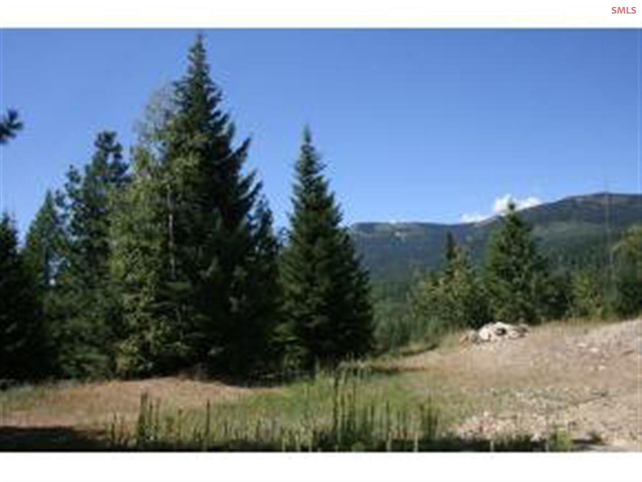 Lot 3 Larsen Ranch Road Sandpoint, ID 83864 - Photo 1 of 1