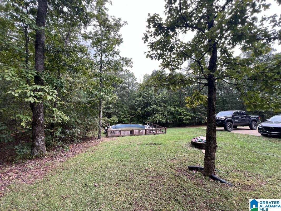 20913 Cedar Road McCalla, AL 35111 - Photo 6 of 24