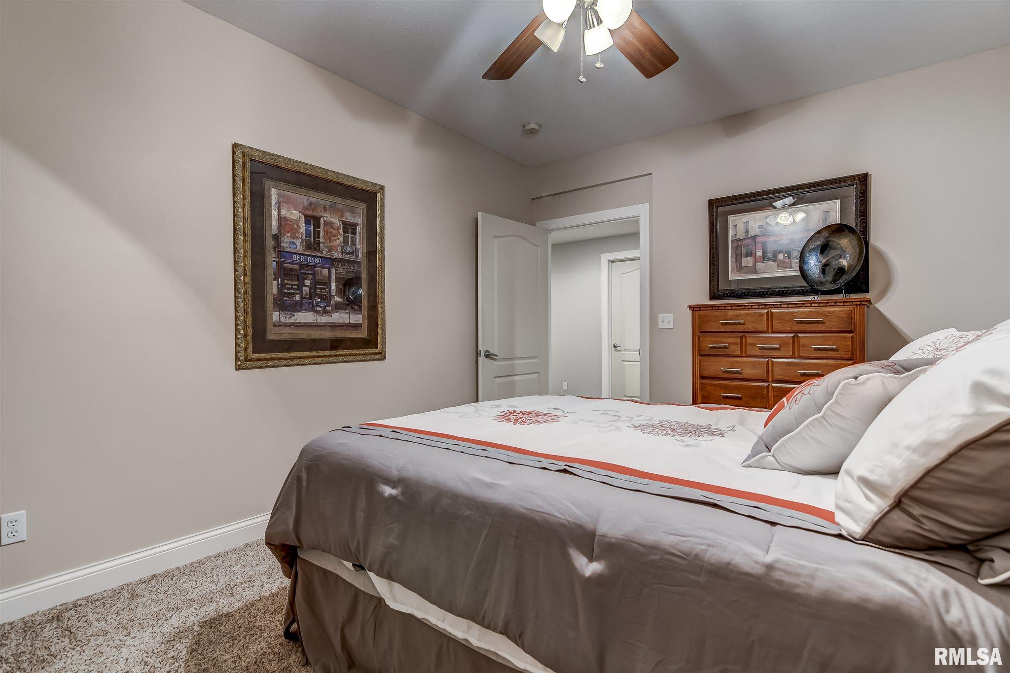 4 Isham Court Rochester, IL 62563 - Photo 42 of 48