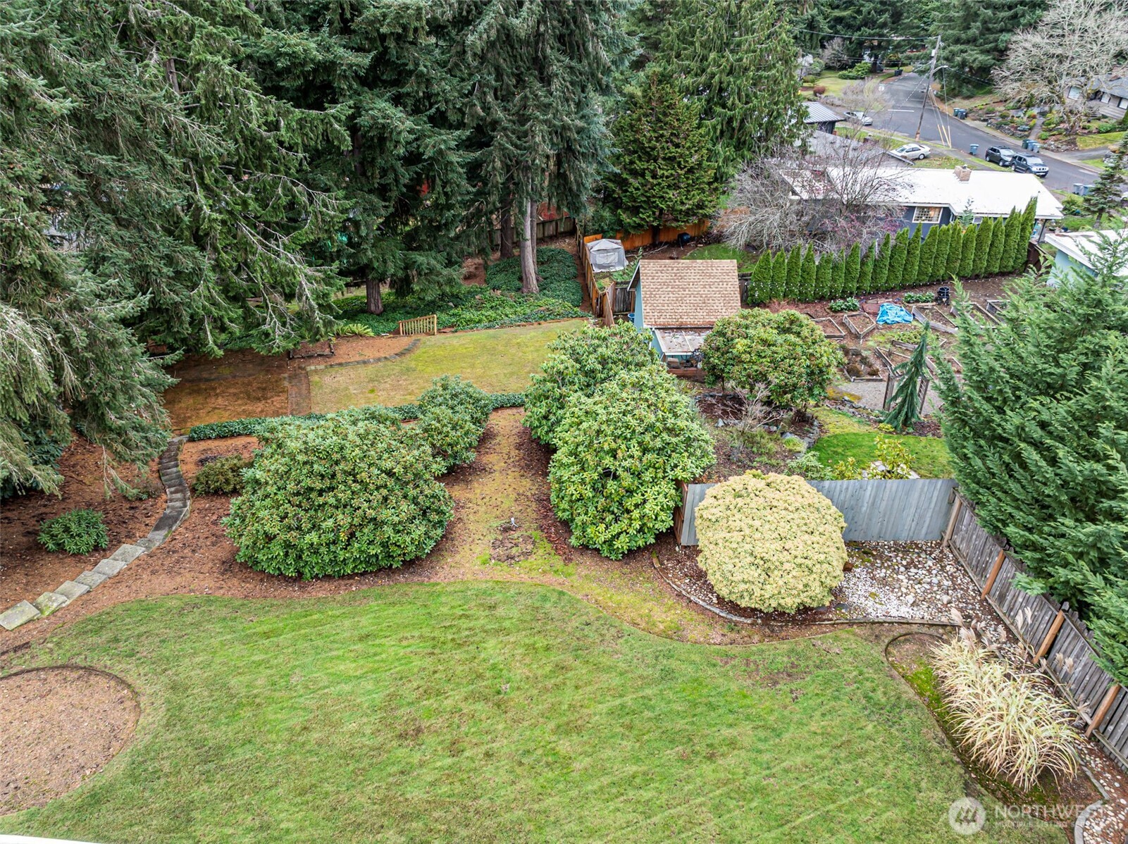 906 Forrest Park Drive Fircrest, WA 98466 - Photo 32 of 37 a view of a back yard of the house