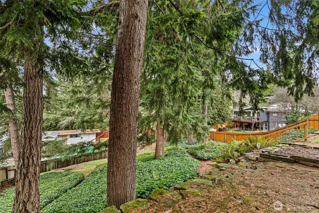 a view of a swimming pool with a garden