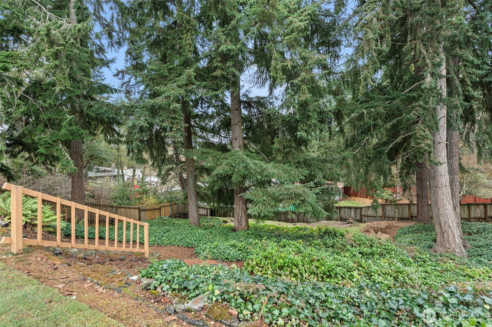 906 Forrest Park Drive Fircrest, WA 98466 - Photo 36 of 37 a view of a bench in the garden
