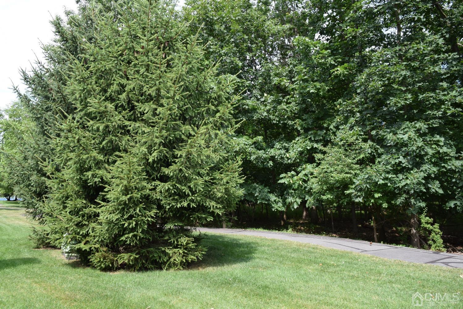 186 Nebula Road Piscataway, NJ 08854 - Photo 4 of 17 a view of lush green field