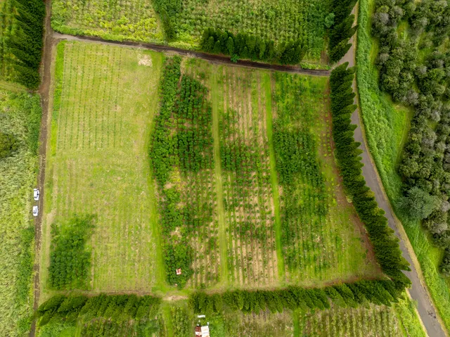 a bathroom with a yard