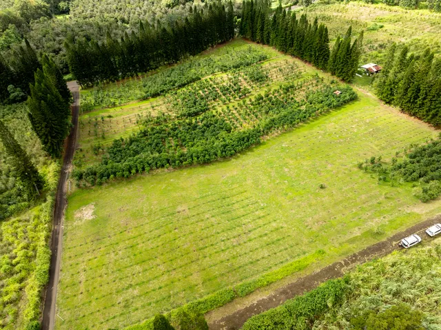 a view of an ocean view