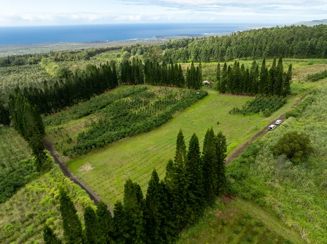 a view of lake with green space