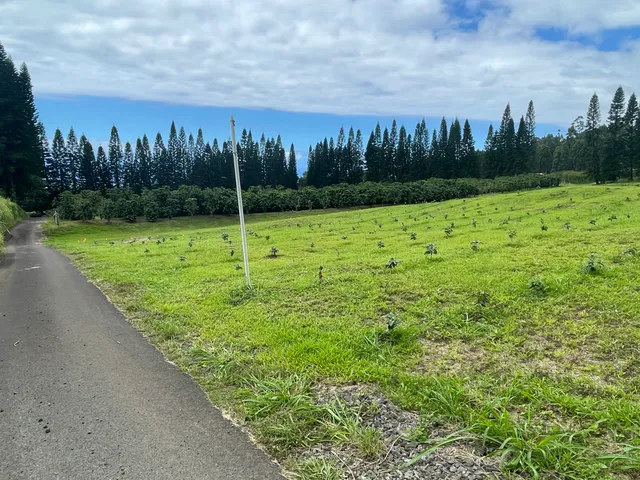 a view of a golf course with a play ground