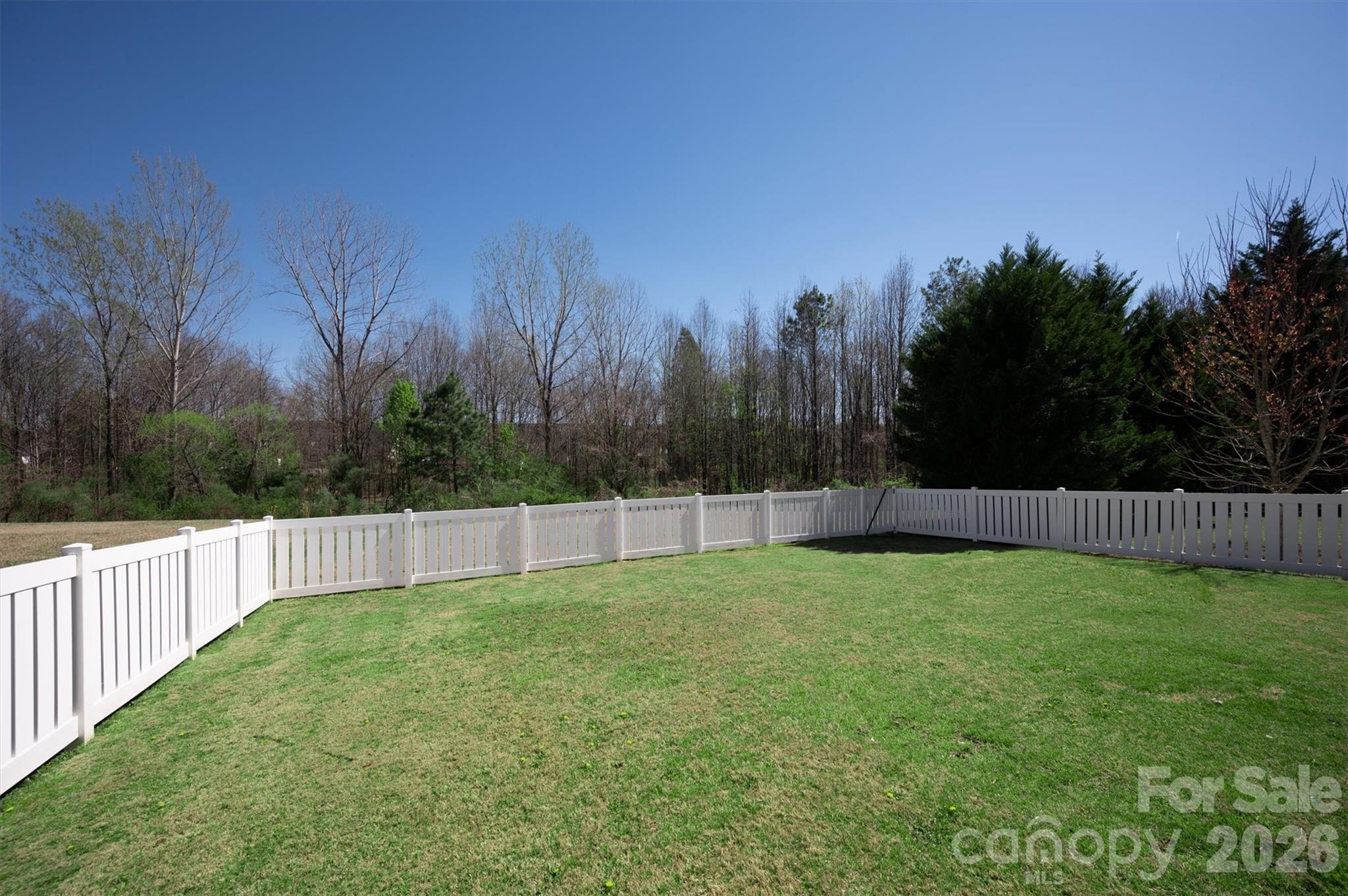 5527 Cactus Valley Road, Unit 183 Charlotte, NC 28277 - Photo 41 of 47 a view of a backyard with trees