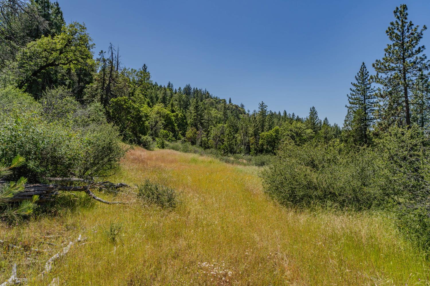 0 Schaefer Ranch Road Pioneer, CA 95666 - Photo 20 of 72