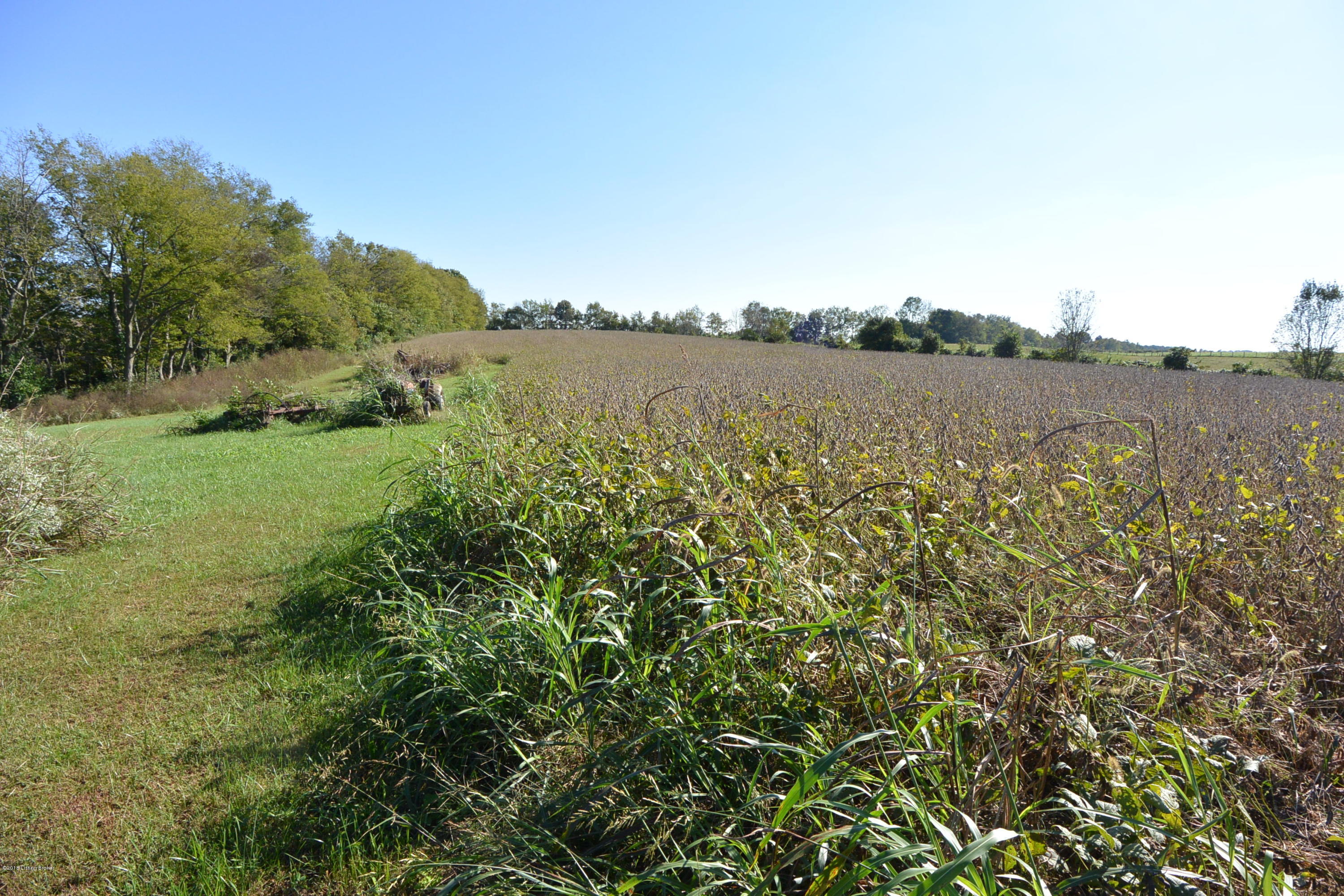 9975 Bloomfield Road Bloomfield, KY 40008 - Photo 42 of 49 Field
