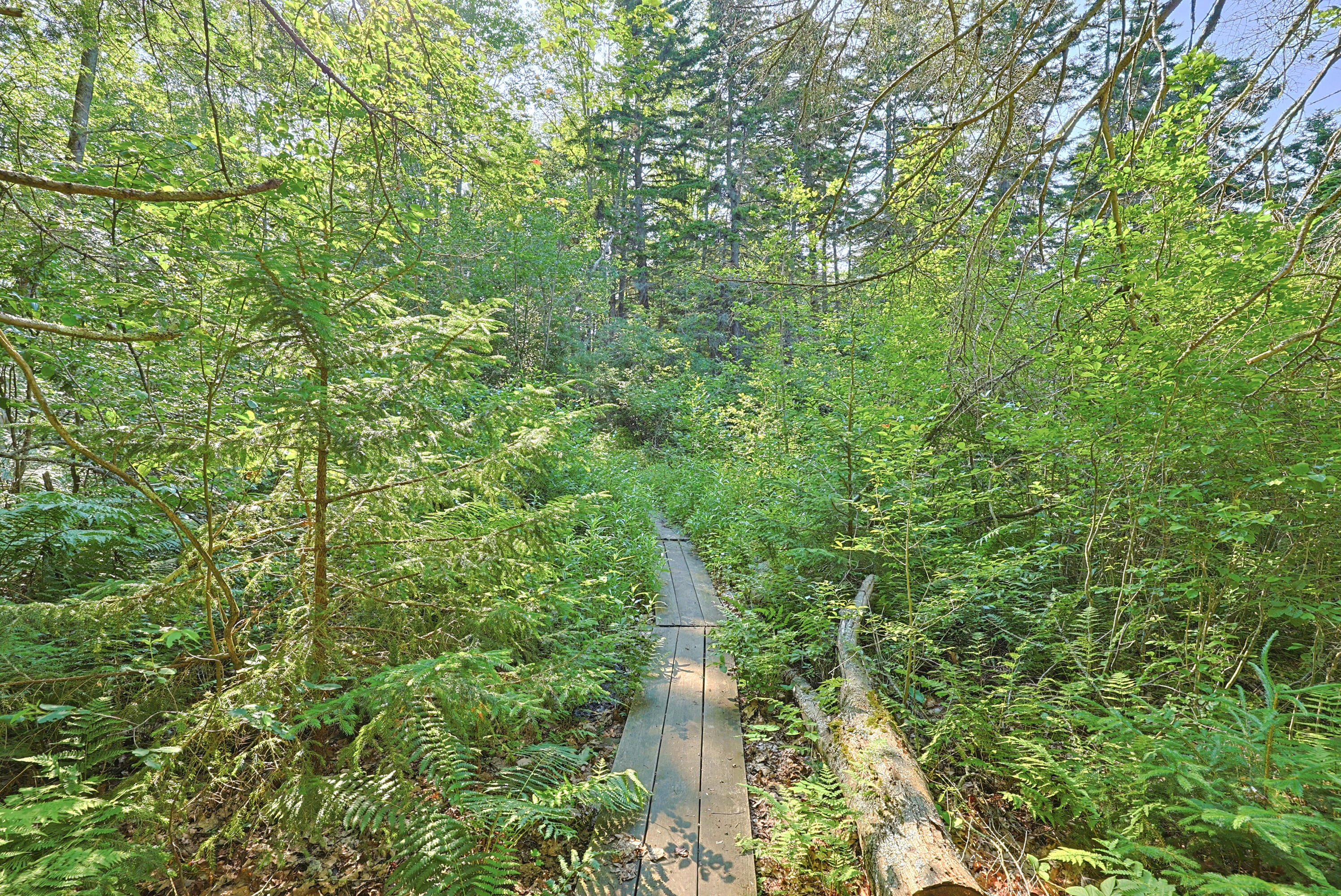 339 Fowler Road Cape Elizabeth, ME 04107 - Photo 57 of 73 IMG_3326
