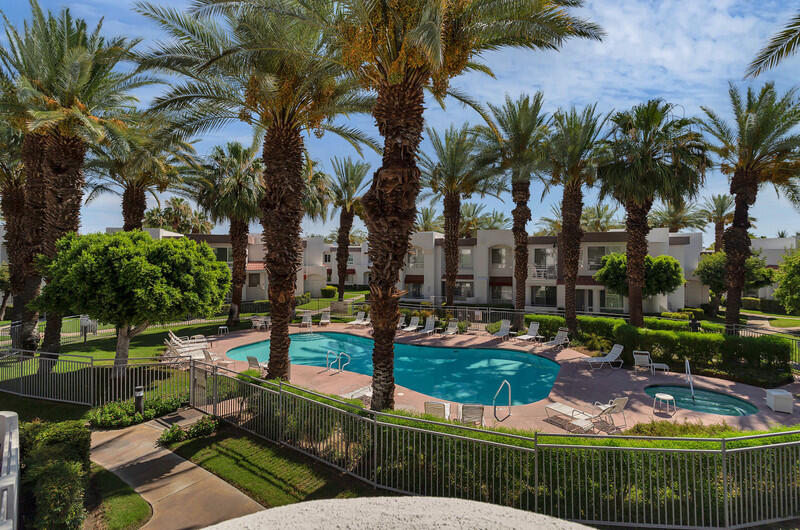 a view of a park with palm trees