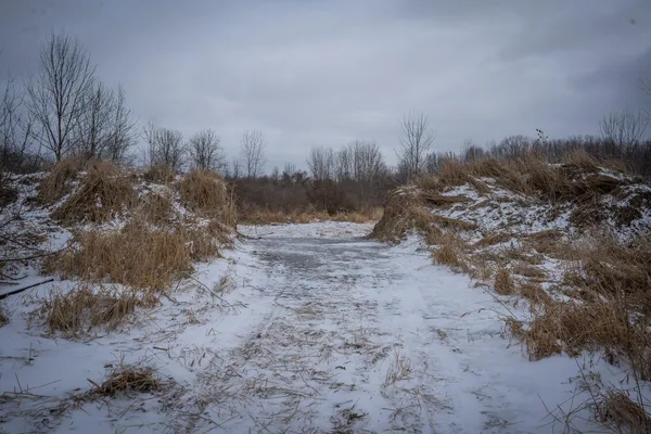 $285,000 | South Crawford Road, Mount Pleasant, MI 48858