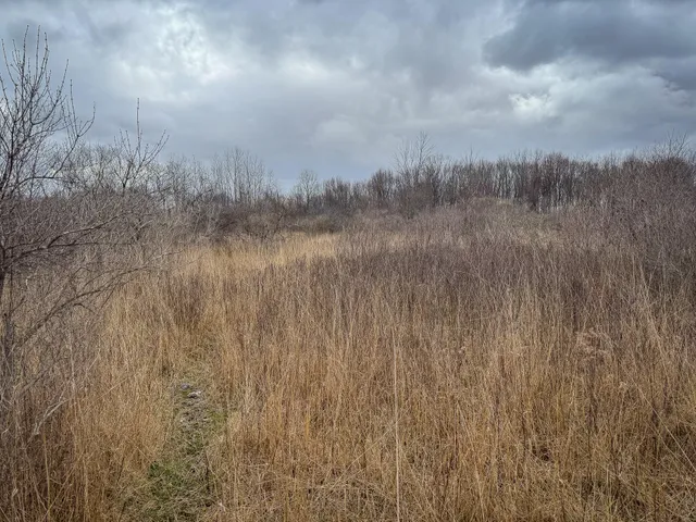 $285,000 | South Crawford Road, Mount Pleasant, MI 48858