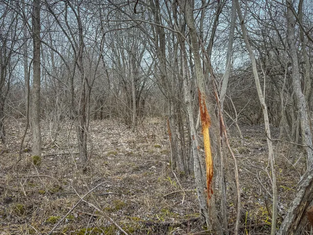 $285,000 | South Crawford Road, Mount Pleasant, MI 48858