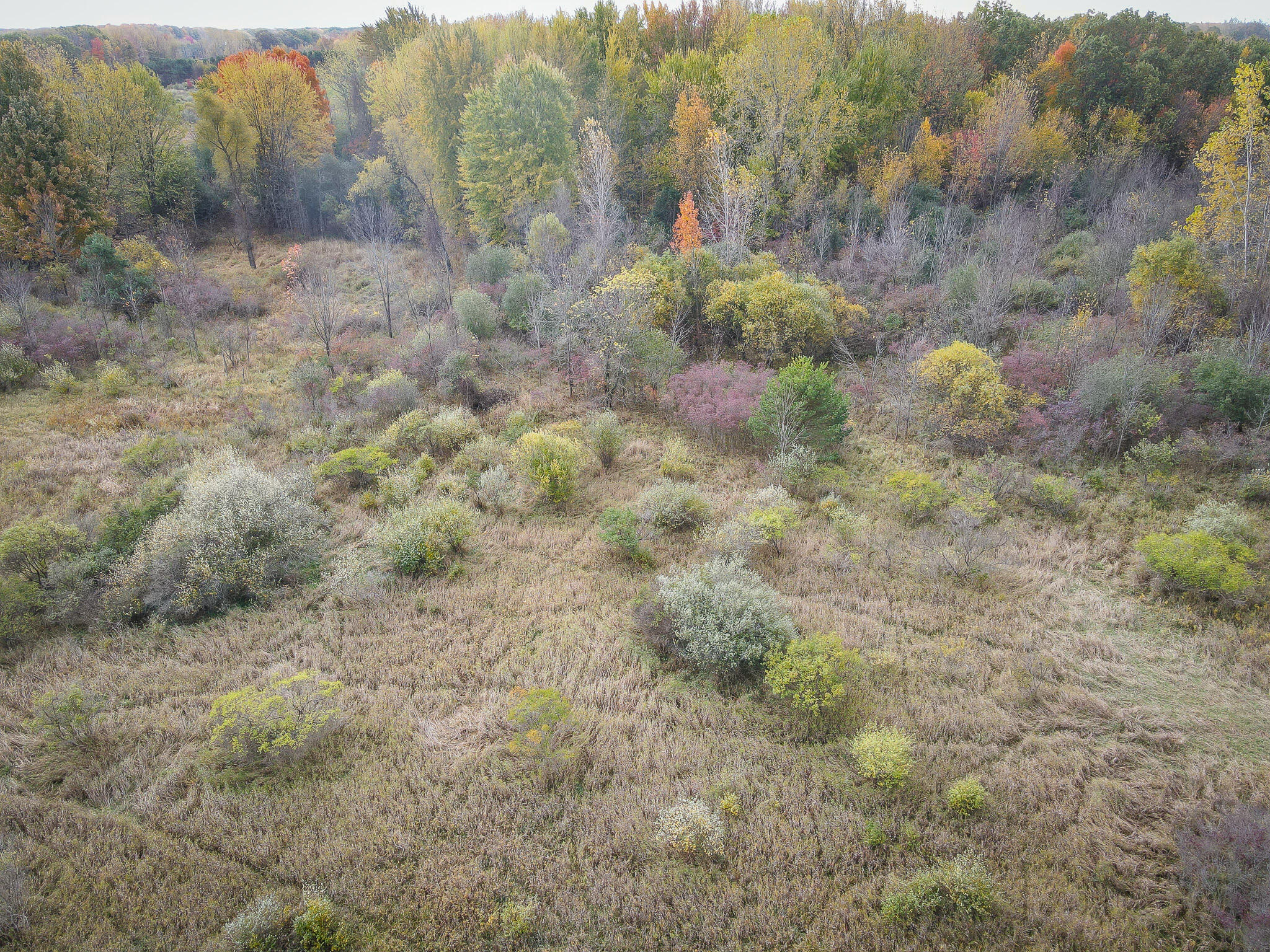 South Crawford Road Mount Pleasant, MI 48858 - Photo 28 of 50 dji_fly_20251022_153010_722_176123294835