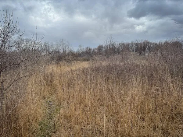 $285,000 | South Crawford Road, Mount Pleasant, MI 48858