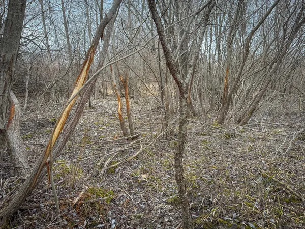 $285,000 | South Crawford Road, Mount Pleasant, MI 48858