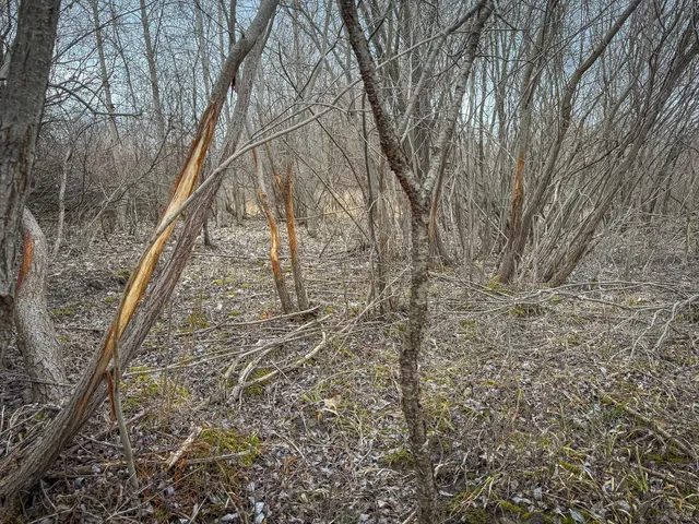 $285,000 | South Crawford Road, Mount Pleasant, MI 48858