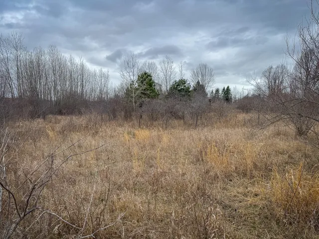 $285,000 | South Crawford Road, Mount Pleasant, MI 48858