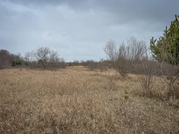 $285,000 | South Crawford Road, Mount Pleasant, MI 48858