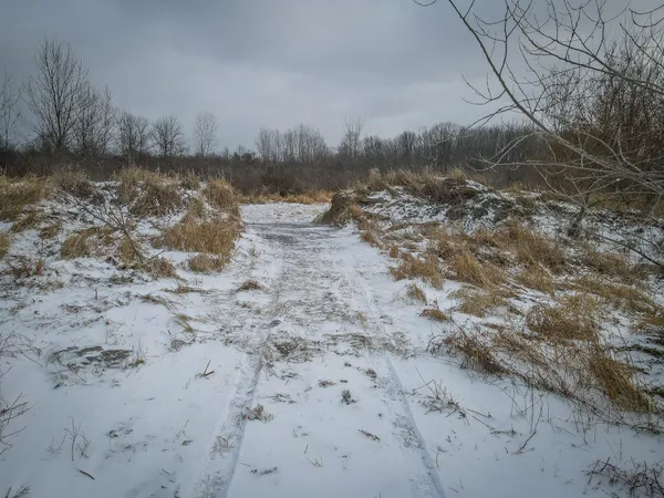 $285,000 | South Crawford Road, Mount Pleasant, MI 48858