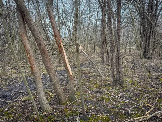 $285,000 | South Crawford Road, Mount Pleasant, MI 48858