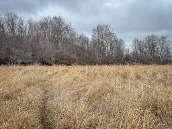 $285,000 | South Crawford Road, Mount Pleasant, MI 48858