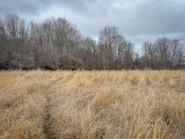 $285,000 | South Crawford Road, Mount Pleasant, MI 48858