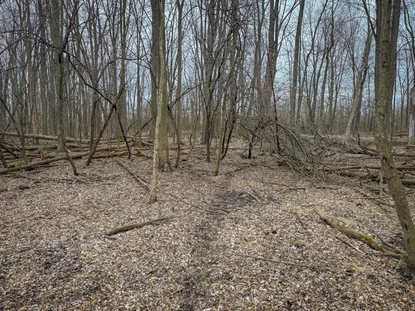 $285,000 | South Crawford Road, Mount Pleasant, MI 48858