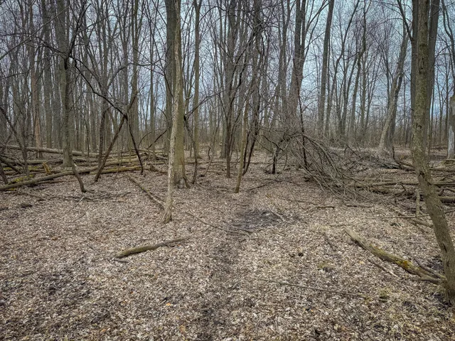 $285,000 | South Crawford Road, Mount Pleasant, MI 48858