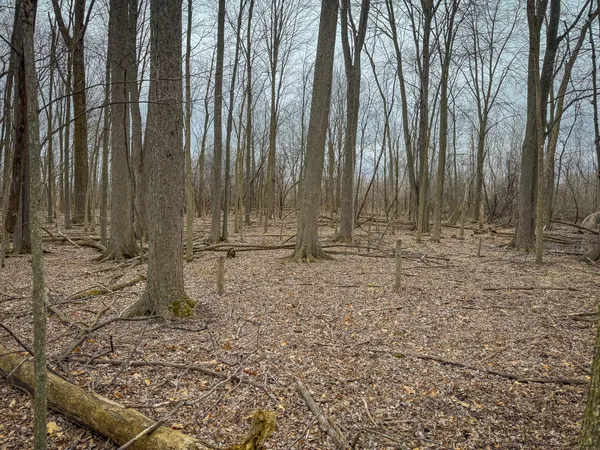 $285,000 | South Crawford Road, Mount Pleasant, MI 48858