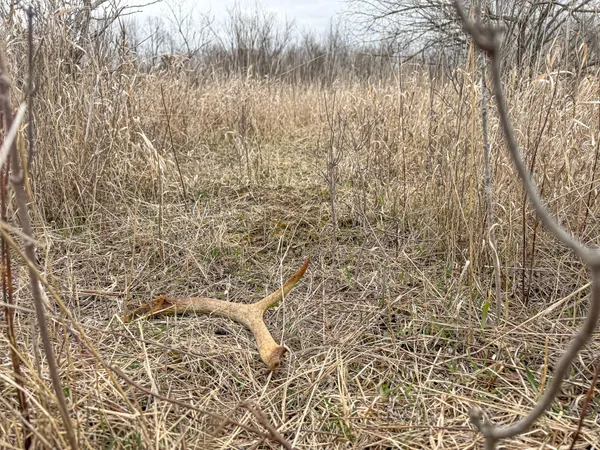 $285,000 | South Crawford Road, Mount Pleasant, MI 48858