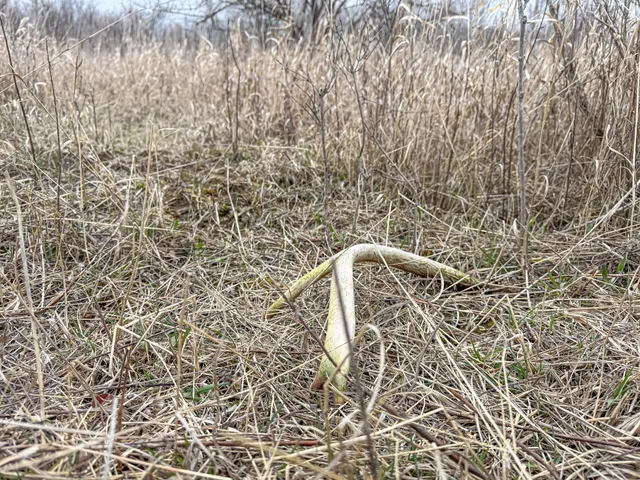 $285,000 | South Crawford Road, Mount Pleasant, MI 48858