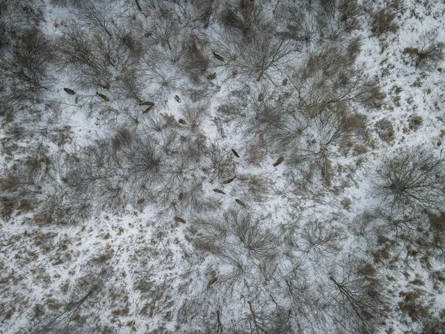 $285,000 | South Crawford Road, Mount Pleasant, MI 48858