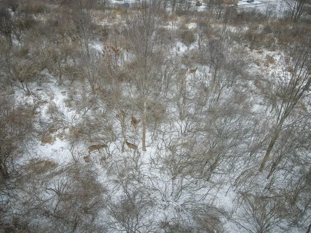 $285,000 | South Crawford Road, Mount Pleasant, MI 48858