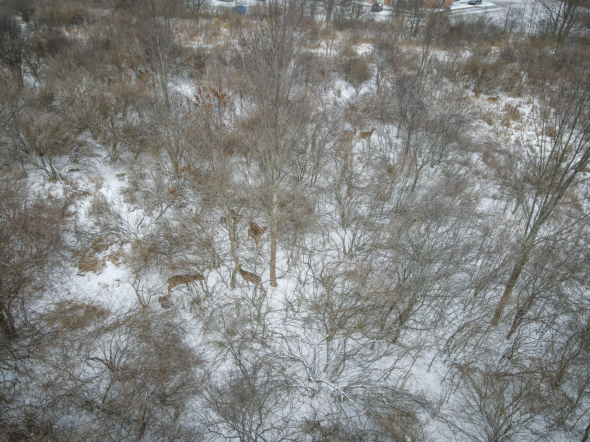 South Crawford Road Mount Pleasant, MI 48858 - Photo 6 of 50 DJI_0154