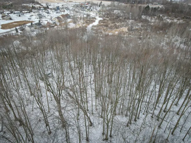 $285,000 | South Crawford Road, Mount Pleasant, MI 48858