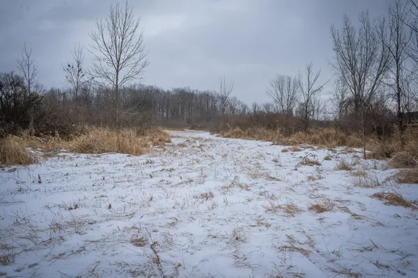 $285,000 | South Crawford Road, Mount Pleasant, MI 48858