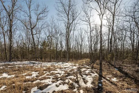 $190,000 | Madison Co 529, Fredericktown, MO 63645