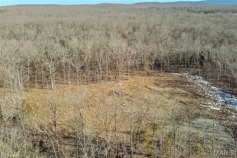 $190,000 | Madison Co 529, Fredericktown, MO 63645