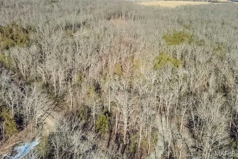 $190,000 | Madison Co 529, Fredericktown, MO 63645