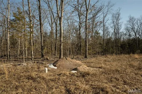 $190,000 | Madison Co 529, Fredericktown, MO 63645